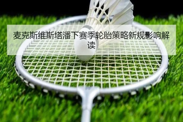 麦克斯维斯塔潘下赛季轮胎策略新规影响解读